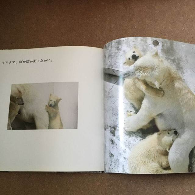 ふたごのクマクマ エンタメ/ホビーの本(絵本/児童書)の商品写真