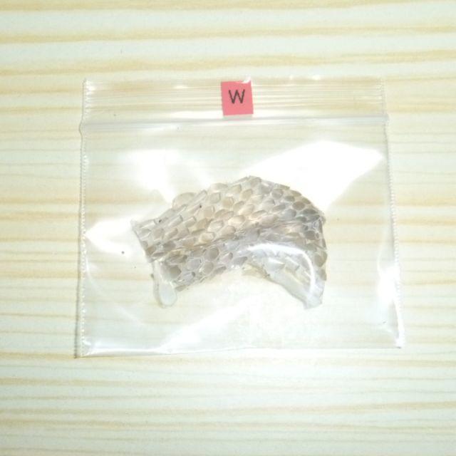 最強の開運グッズ 蛇の抜け殻 ヘビの抜け殻をお財布に入れて金運UP (W) レディースのファッション小物(財布)の商品写真