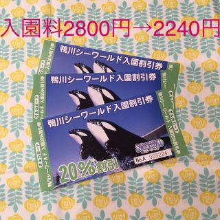 20%割引券 鴨川シーワールド(その他)