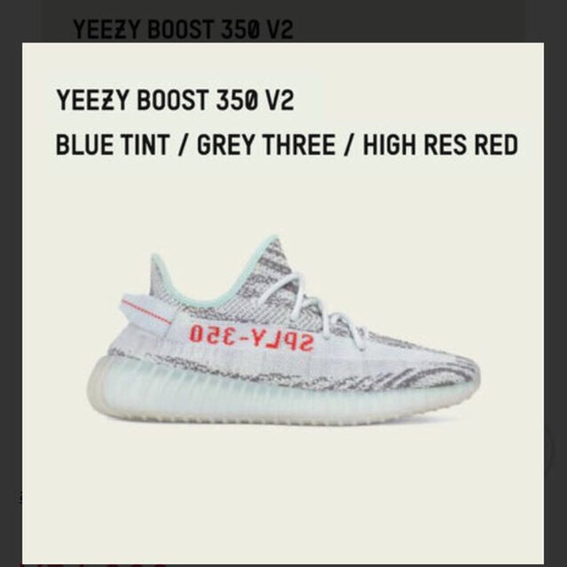 adidas(アディダス)のしょ様専用adidas YEEZY BOOST 350 V2 Blue Tint メンズの靴/シューズ(スニーカー)の商品写真