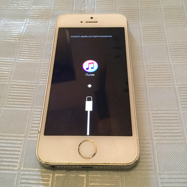 iPhone 5s 64GB au 本体のみ ジャンク