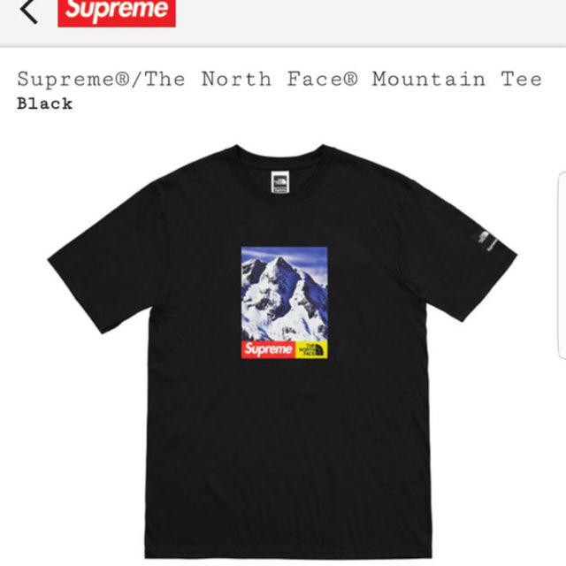 Supreme The North Face Mountain Tee 17aw
