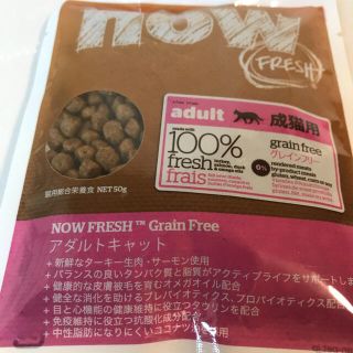 グルテンフリー キャットフード now fresh(ペットフード)