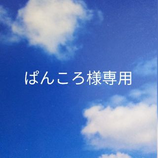 ルイヴィトン(LOUIS VUITTON)のぱんころ様専用(ハンドバッグ)