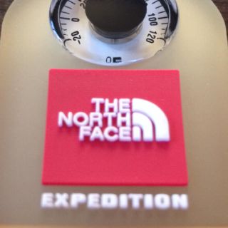 ザノースフェイス(THE NORTH FACE)のTHE NORTH FACE “Degree Fahrenheit” 華氏度計(キーホルダー)