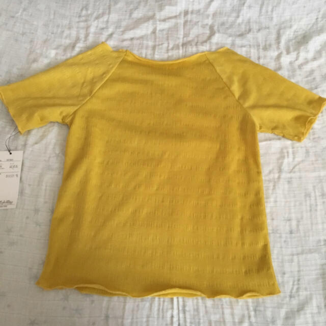 新品 メローTシャツ 無地 レディースのトップス(Tシャツ(半袖/袖なし))の商品写真