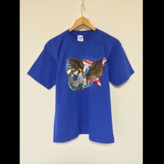 ロンハーマン(Ron Herman)のAmericanEagleFB/GILDAN(USA)ビンテージTシャツ(Tシャツ/カットソー(半袖/袖なし))