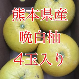 熊本県産 晩白柚 4玉入り(フルーツ)