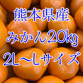 熊本県産 ミカン 20kg(フルーツ)