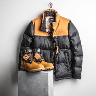 ノースフェイス(THE NORTH FACE) ダウンジャケット(メンズ)（スエード