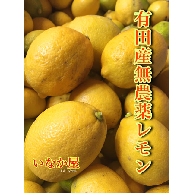 タイムセール！有田産無農薬レモン 食品/飲料/酒の食品(フルーツ)の商品写真