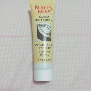 バーツビーズ(BURT'S BEES)のBURT'S BEES coconut(その他)