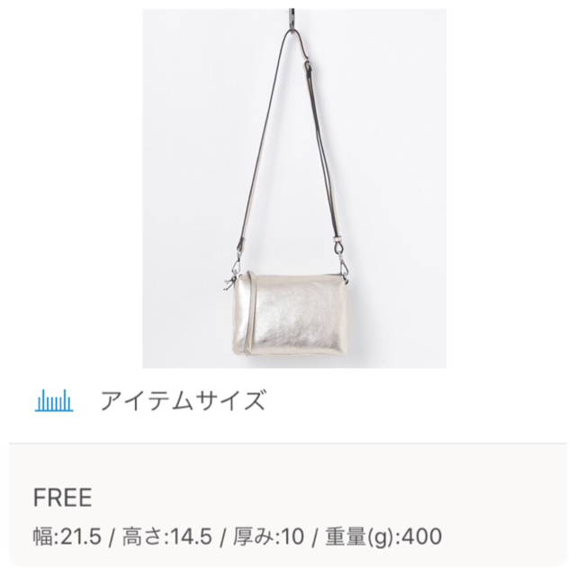 IENA(イエナ)の新品 定価24,840円 ジャンニキャリーニ シルバー ショルダーバッグ レディースのバッグ(ショルダーバッグ)の商品写真