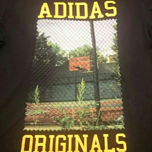 adidas(アディダス)の★(未使用) adidas originals フォト Tシャツ Ｌ メンズのトップス(その他)の商品写真