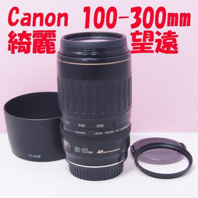 最高級 Canon - ‼️♥️キャノン EF 100-300 フード&フィルター&USM付き♥️‼️ レンズ(ズーム) 最高級 Canon - ‼️♥️キャノン EF 100-300 フード&フィルター&USM付き♥️‼️ レンズ(ズーム)