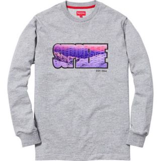 シュプリーム(Supreme)のsupreme summit L/S S size(その他)