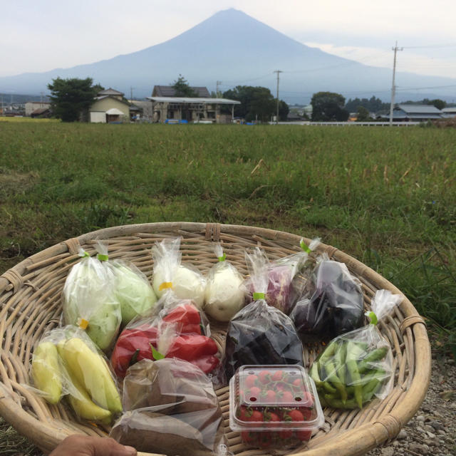 おまかせ無農薬野菜セット 食品/飲料/酒の食品(野菜)の商品写真