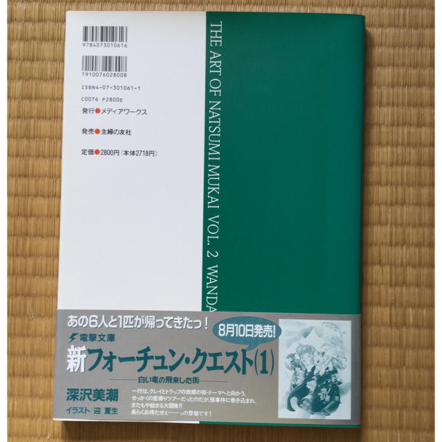 迎夏生画集2 ワンダル・ワンダリング！ エンタメ/ホビーの漫画(イラスト集/原画集)の商品写真