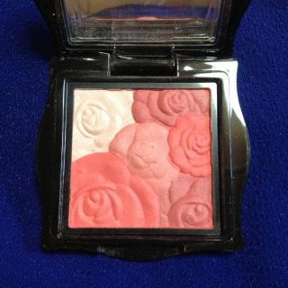 アナスイ(ANNA SUI)の【ANNA SUI】ローズチークカラー(その他)