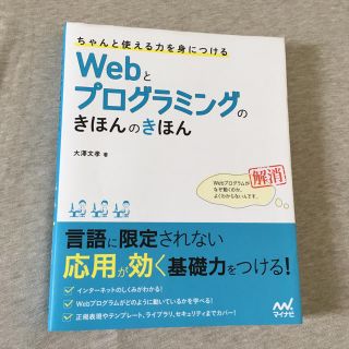 【売却先決定済】webとプログラミングのきほんのきほん（大澤文孝）(その他)