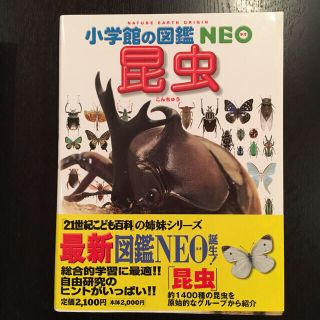 ショウガクカン(小学館)の小学館の図鑑 NEO 昆虫 (絵本/児童書)