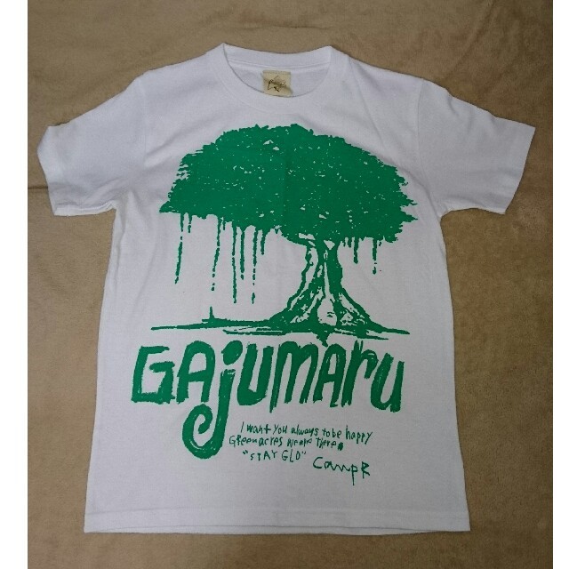 ゆばばぁさん専用 沖縄 ハブボックス がじゅまる T-shirts レディースのトップス(Tシャツ(半袖/袖なし))の商品写真