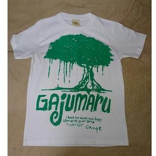 ゆばばぁさん専用 沖縄 ハブボックス がじゅまる T-shirts(Tシャツ(半袖/袖なし))