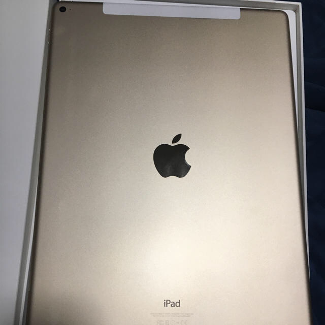 高品質の激安 iPad SIMフリー mini4 とiPad 12.9(第1世代) Pro iPad