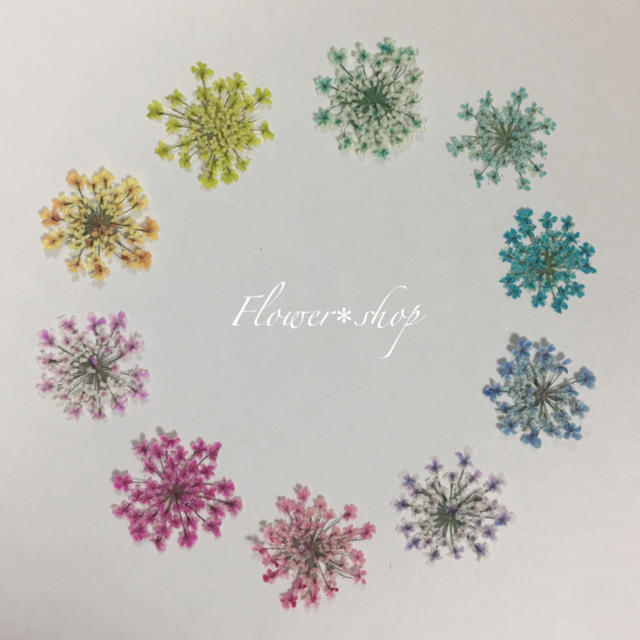 レースフラワー＊押し花(5色×3枚です) ハンドメイドのフラワー/ガーデン(その他)の商品写真