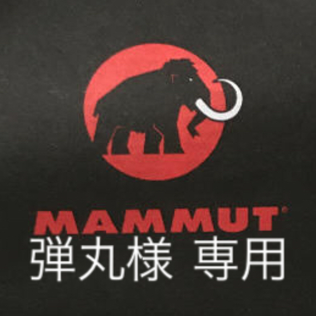 Mammut(マムート)の★新品送料込★ マムート カラビナ crag key lock クラッグ スポーツ/アウトドアのアウトドア(登山用品)の商品写真