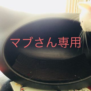 キャットハウス(猫)