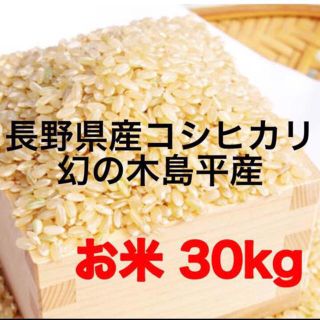 28年度（古米）木島平産 コシヒカリ お米 30kg(米/穀物)