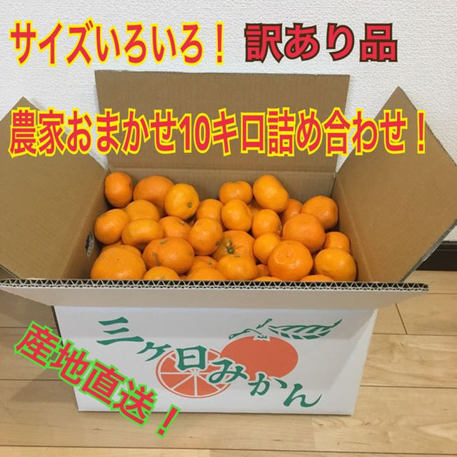 三ケ日みかんサイズいろいろ！訳あり品。農家おまかせ詰め合わせ！ 食品/飲料/酒の食品(フルーツ)の商品写真