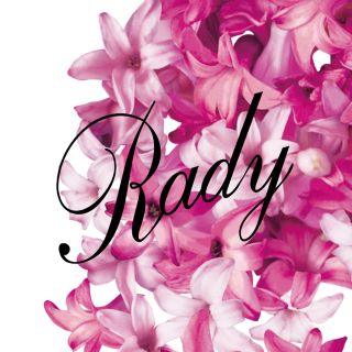 レディー(Rady)の⚠️専用ページ🌸ホテルシリーズショルダートートバッグ(トートバッグ)