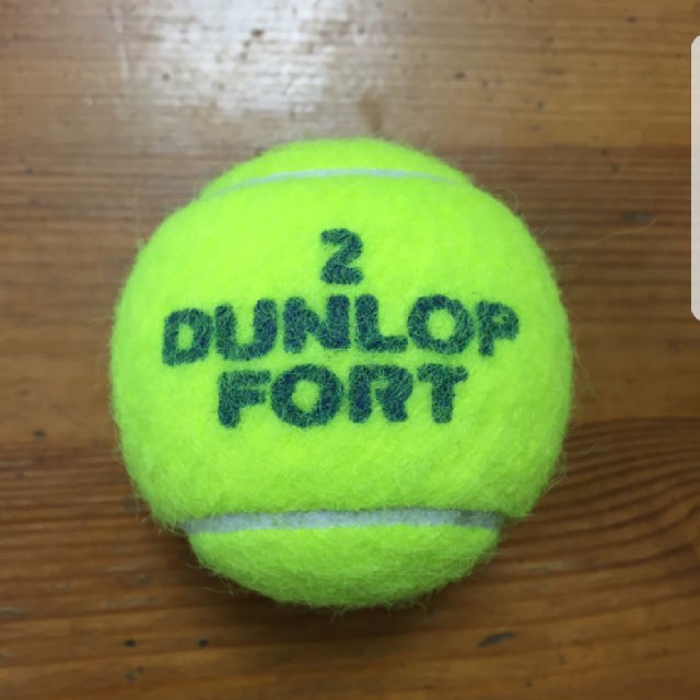 DUNLOP - ダンロップ 硬式テニスボール 中古の通販 by meg's shop 