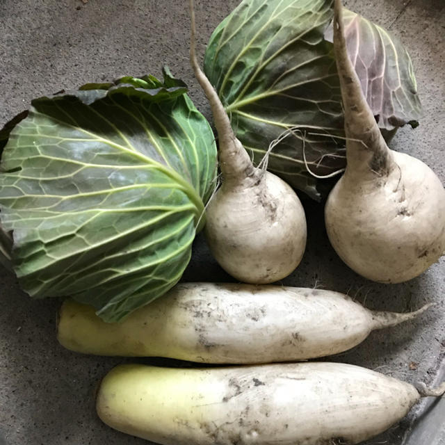 ナオさま専用 晴れの国の無農薬野菜 食品/飲料/酒の食品(野菜)の商品写真