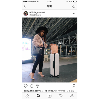 エイミーイストワール(eimy istoire)のエイミーイストワールラビットファー(毛皮/ファーコート)