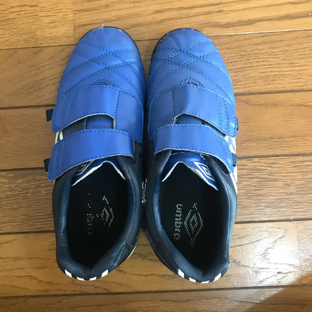 UMBRO(アンブロ)のアンブロ✴︎トレーニングシューズ✴︎20㎝ キッズ/ベビー/マタニティのキッズ靴/シューズ(15cm~)(スニーカー)の商品写真