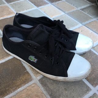 ラコステ(LACOSTE)のLACOSTE ベーシック スニーカー (スニーカー)