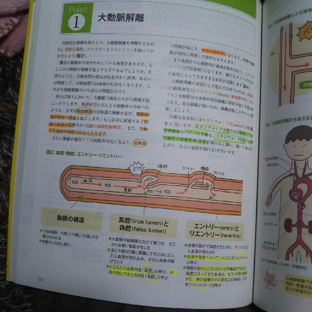 パーシー様専用 まるごと図解 循環器疾患