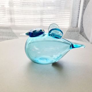 イッタラ(iittala)の*たぴ☆さま専用☆ iittala  Baby Blue バード 箱有り(置物)