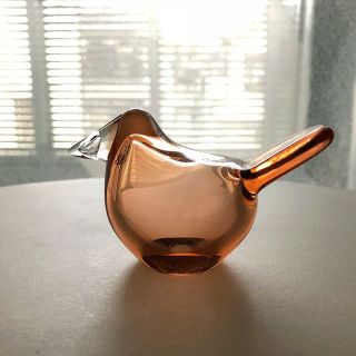 イッタラ(iittala)の*hoshitsukiyoさま専用* Nuutajarvi シエッポ バード(置物)