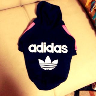 アディダス(adidas)の★ｄｏｇ★ａｄｉｄａｓ★(その他)