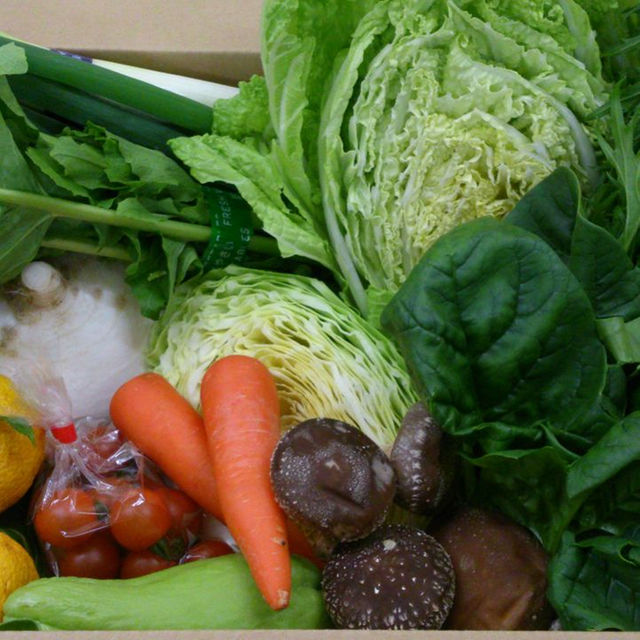 ☆わくわく80サイズ☆岡山産　新鮮野菜 食品/飲料/酒の食品(その他)の商品写真