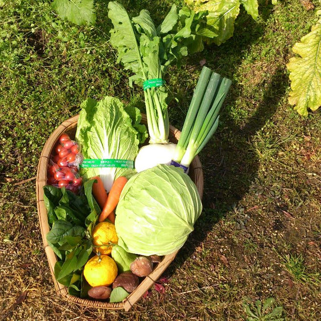 ☆わくわく80サイズ☆岡山産　新鮮野菜 食品/飲料/酒の食品(その他)の商品写真