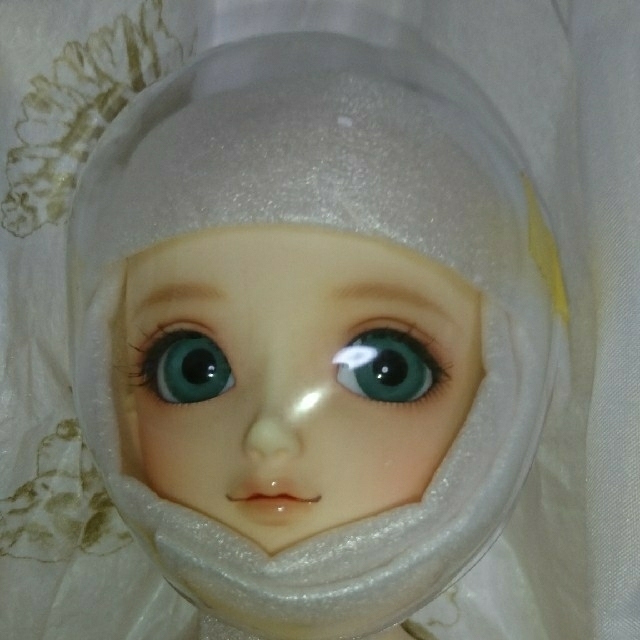 当店だけの限定モデル VOLKS - 【apple】SDM MSD 白蓮 コーディネート