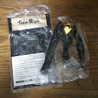浜崎あゆみチケットホルダー(アイドルグッズ)