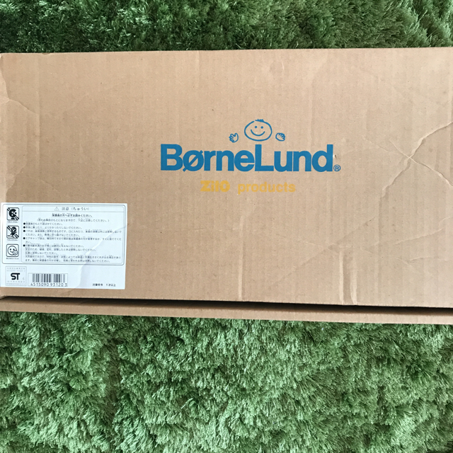 BorneLund(ボーネルンド)のボーネルンド 木琴魚 キッズ/ベビー/マタニティのおもちゃ(楽器のおもちゃ)の商品写真