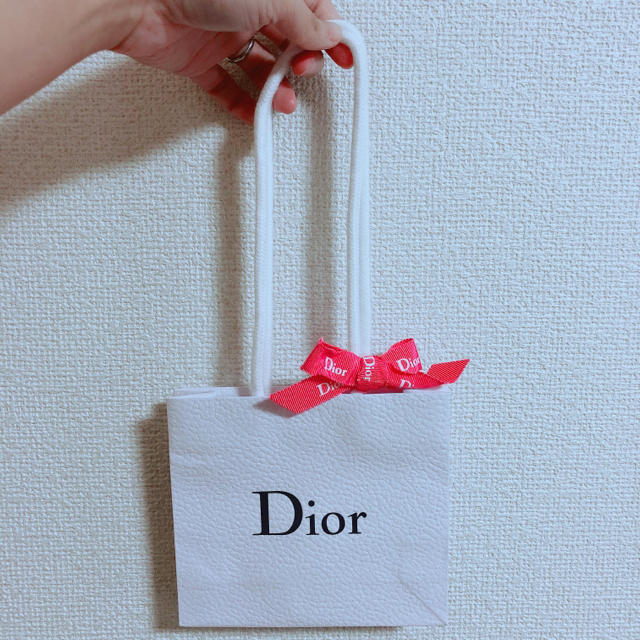 Dior(ディオール)のDior ショップ袋✨ レディースのバッグ(ショップ袋)の商品写真