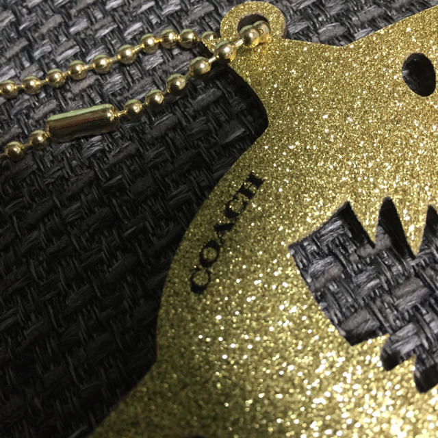COACH - コーチのキーホルダー/コーチバッグチャーム(サメ)の COACH - コーチのキーホルダー/コーチバッグチャーム(サメ)の